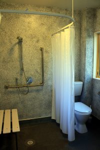 Accessible Toilet/Shower