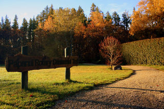 Camp walk in Autumn