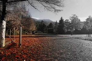 Hanmer Springs Forest  Camp