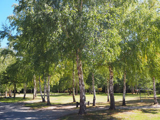 Campground